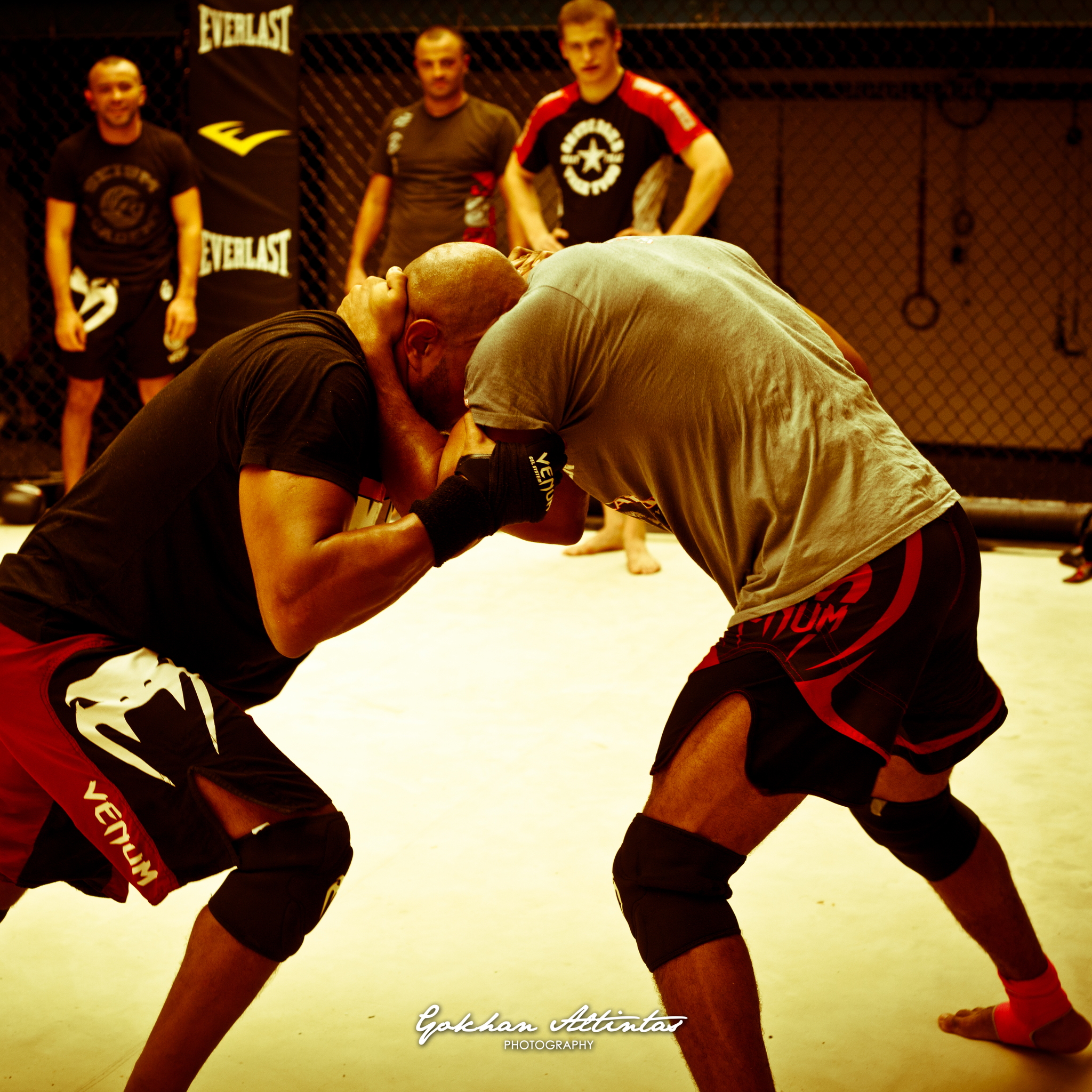 Seism Academy Free Fight UFC Entrainement