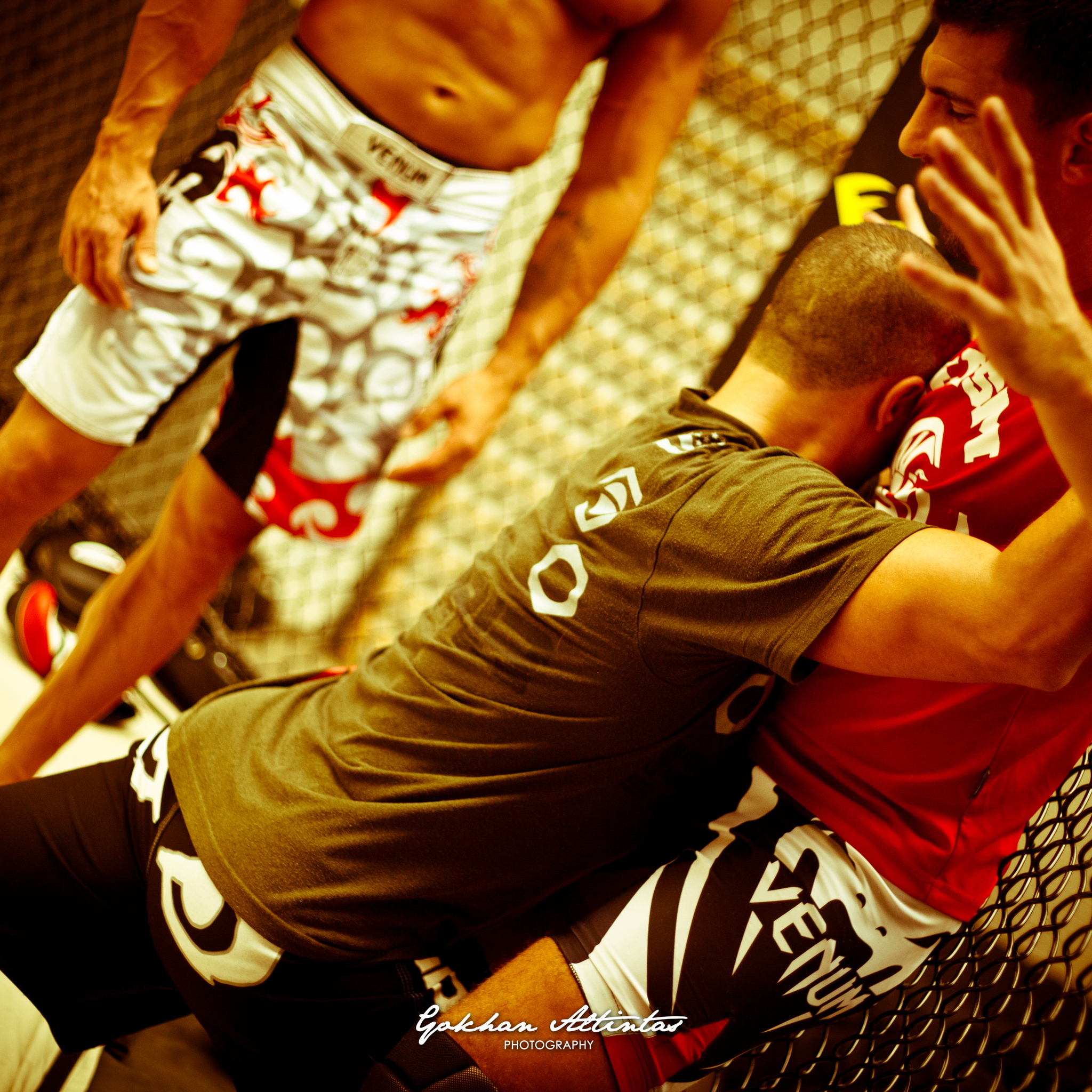 Seism Academy Free Fight UFC Entrainement