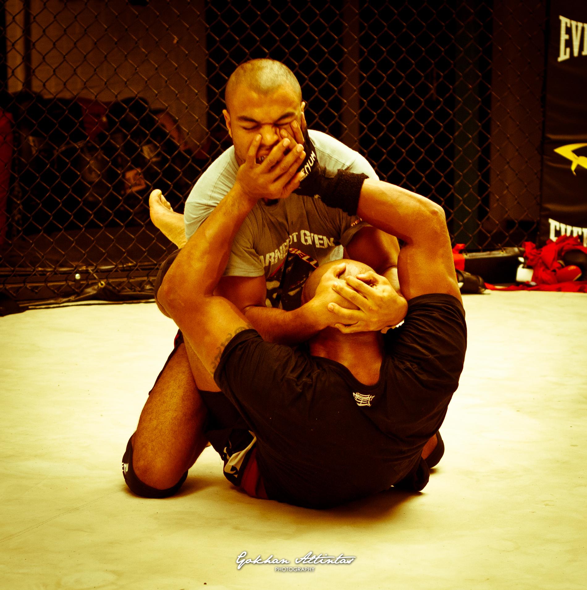 Seism Academy Free Fight UFC Entrainement